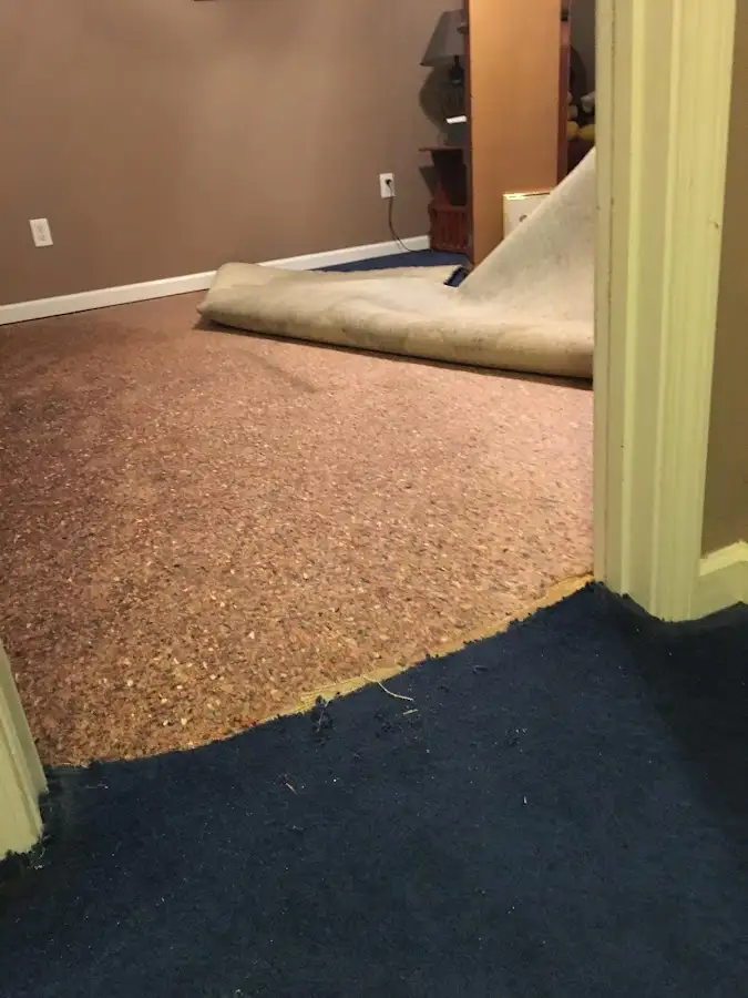Carpet pad removal revealing water damage during Drying & Dehumidification in Volo